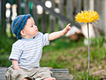 Babyzeichensprache