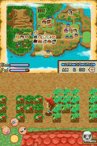 Harvest Moon Ingame