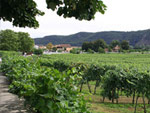 Wachau