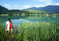 Landschaftsfoto des Strandbads Thiersee