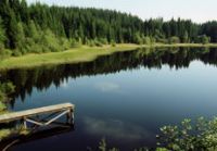 Foto eines Sees mit Wäldern die sich im Wasser spiegeln