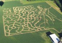 Vogelperspektive des Maislabyrinths