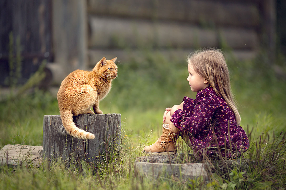 Mädchen sitzt gegenüber einer Bauernhofkatze im Freien