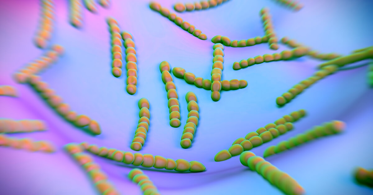 Streptokokken 3D-Rendering